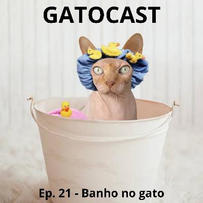 Ep. 21 - Banho no gato
