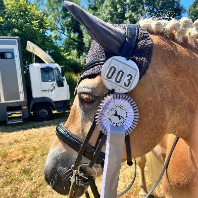 #357 Magischer Moment mit Deinem Pferd - Hast Du DAS schon gespürt?