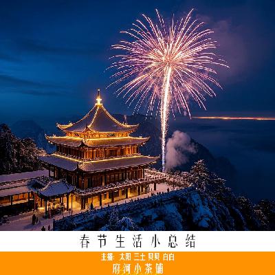 春节生活小总结