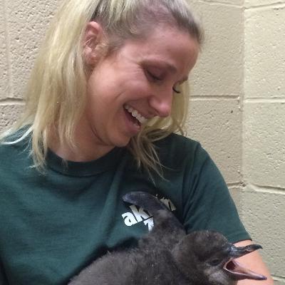 Keeping the Zoo Working Safe