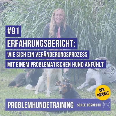 Erfahrungsbericht: Wie sich ein Veränderungsprozess mit einem problematischen Hund anfühlt Erfahrungsbericht: Wie sich ein Veränderungsprozess mit einem problematischen Hund anfühlt