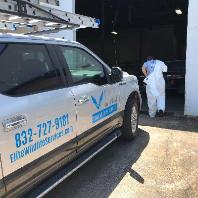Join Elite Wildlife Services Exciting Wildlife Removal Technician Jobs Available Join Elite Wildlife Services Exciting Wildlife Removal Technician Jobs Available