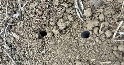 2165◆音で埋める生活に気づく暗闇 #今朝の罪と罰 #トタテグモ 2165◆音で埋める生活に気づく暗闇 #今朝の罪と罰 #トタテグモ