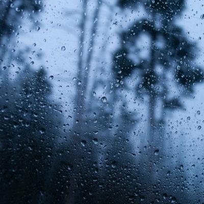 Relaxe e Durma com Som de Chuva Real/ 1 Hora