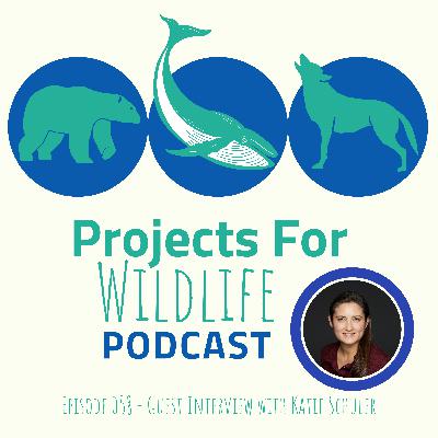 Episode 058- Katie Schuler creates films on pangolins - the most trafficked mammal in the world Episode 058- Katie Schuler creates films on pangolins - the most trafficked mammal in the world