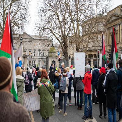 Government warned not to water down Occupied Territories Bill