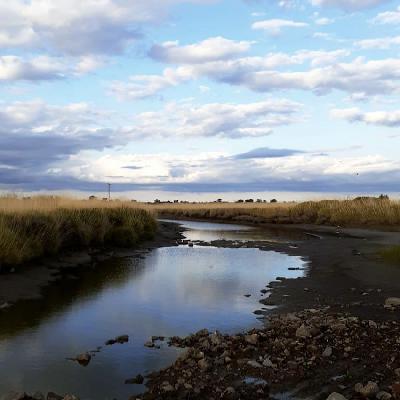 Summer dusk with birds near Vedia, Buenos Aires province, Argentina in January 2023 – by Joaquín Conde Summer dusk with birds near Vedia, Buenos Aires province, Argentina in January 2023 – by Joaquín Conde