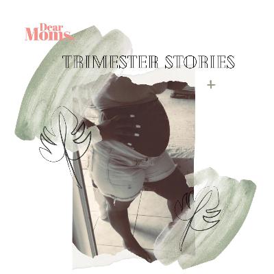 Episode 2 Trimester Stories Episode 2 Trimester Stories