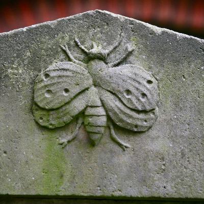 Folge 15: Was ist der Tod? Folge 15: Was ist der Tod?