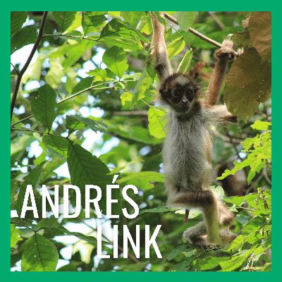 Connecting Corridors for Colombia's Brown Spider Monkeys Connecting Corridors for Colombia's Brown Spider Monkeys