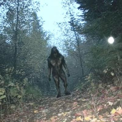 These CREATURES Have Infested Our National Forests and Parks