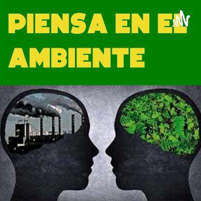 Las principales causas y consecuencias de la contaminación ambiental y acciones para mitigarlo