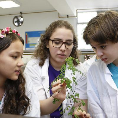 1, 2, 3 por la Ciencia - ¿Cómo crecen las plantas?