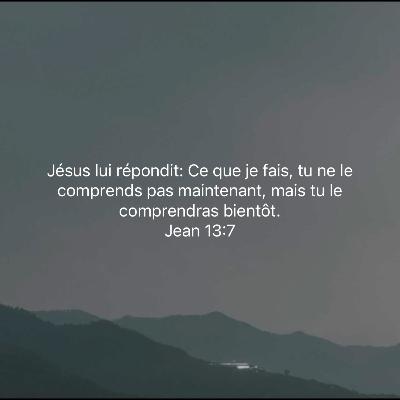 Les saisons de nos vies