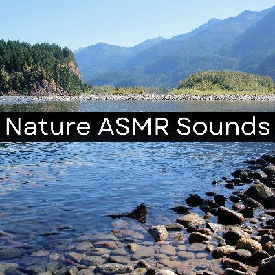 Rapid Stream - 10 hours for Sleep, Meditation, & Relaxation