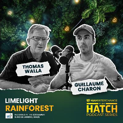 Limelight Rainforest