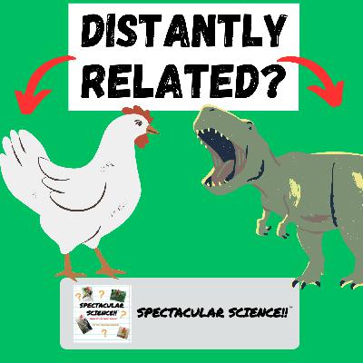 How Birds and Dinosaurs Are Related!