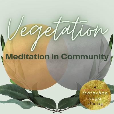 12: Grief as Medicine | Series 3: Winter Solstice