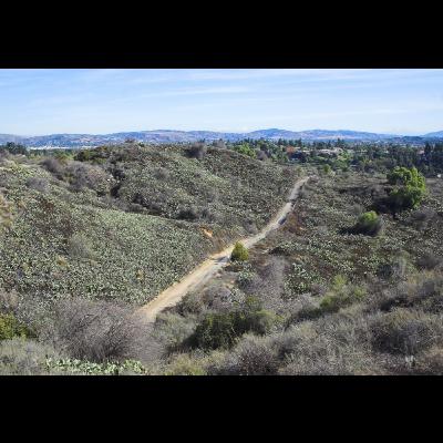 Episode 3: Friends of Coyote Hills Featuring Angela Lindstrom