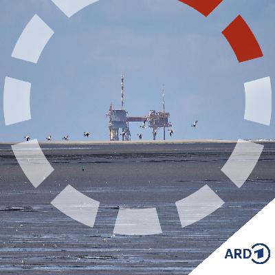 Braucht Deutschland neues Gas aus dem Wattenmeer?