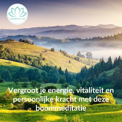 #027 | Vergroot je energie, vitaliteit en persoonlijke kracht met deze boommeditatie