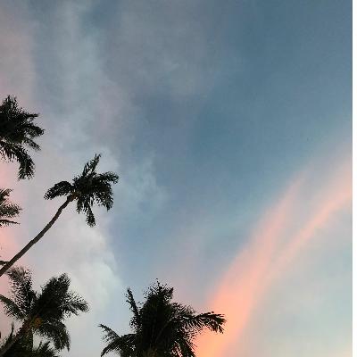 Beginner Spanish: Our Vacation in Mexico