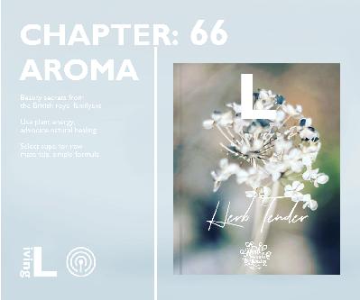 情绪心理芳香学