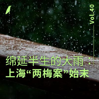 040 绵延半生的大雨：上海“两梅案”始末