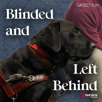 Vision impaired at 16: Blindness, guide dogs & how the world excludes people like me  | 7NEWS Spectrum