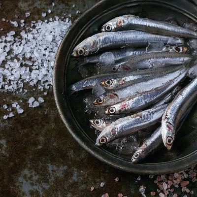 Storie di ricette e materie prime - le acciughe