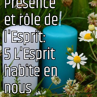 Revenons aux fondamentaux (3): Présence et rôle de l'Esprit: 5 L'Esprit habite en nous