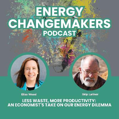 Less Waste, More Productivity: An Economist’s Take on Our Energy Dilemma
