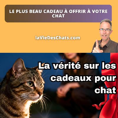 Le plus beau cadeau à offrir à votre chat