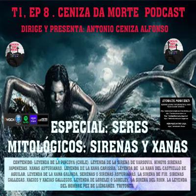 EP #530 - Stef van Grieken: Europe’s AI-Biotech Revolution Starts Here