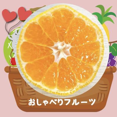 #38 ハウスみかん食べ比べ　愛知対決　みまっこ vs. 蒲郡グリーン