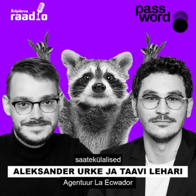 20.02.25 Password: julged turundajad võidavad rohkem, kuid loovus ja AI muudavad mängu