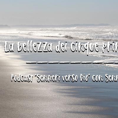 La bellezza dei cinque principi Reiki