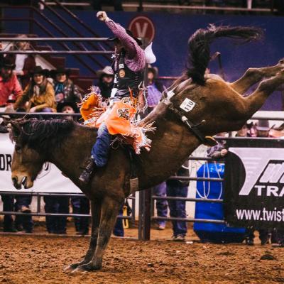 #173 Rodeo Mindset: See It, Feel It, Trust It | Quiet Enough to Ride