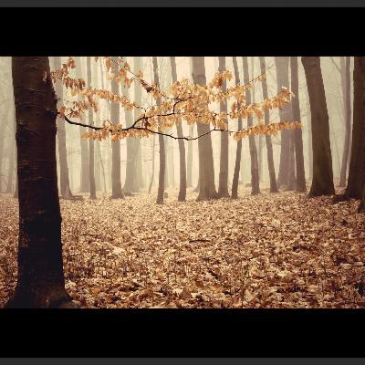 Using Affirmations to Achieve Prosperity