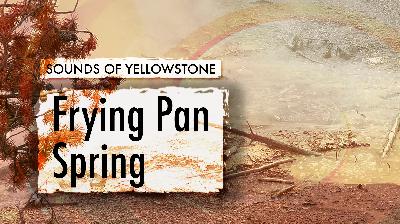 Frying Pan Spring — Sounds of Yellowstone (ASMR, Sleep, Concentration)