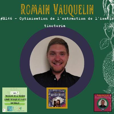 Romain Vauquelin - Optimisation du procédé d'extraction du pigment indigo