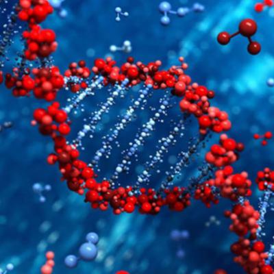 Human Genetic Modification