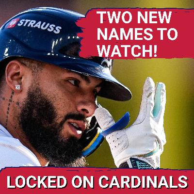 St. Louis Cardinals Linked to TWO New Free Agents Including FORMER World Series Champion St. Louis Cardinals Linked to TWO New Free Agents Including FORMER World Series Champion