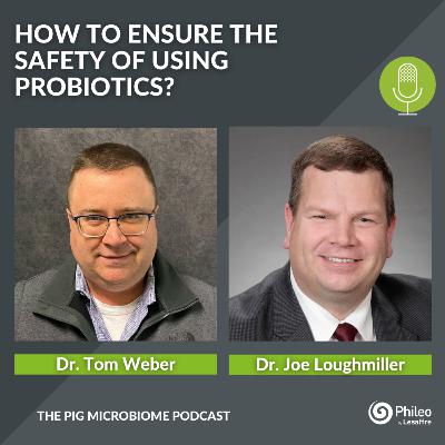 #SHORTS: How to ensure the safe use of probiotics?