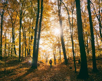 EP 38 - Is Direct Cremation For You?