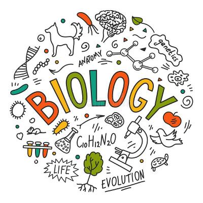 fun facts on biology fun facts on biology