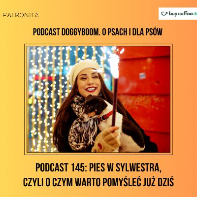 Podcast 145: Pies w Sylwestra, czyli O czym warto pomyśleć już dziś Podcast 145: Pies w Sylwestra, czyli O czym warto pomyśleć już dziś