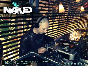 The Vibes 1.0 - Influences (Stylish Plus) Mixed by a'De (Classic)