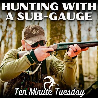 Sub-gauge Shotguns Sub-gauge Shotguns