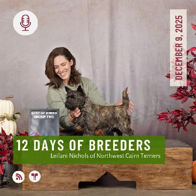 12 Days of Breeders 2025 - #9 - Leilani Nichols of Northwest Cairn Terriers 12 Days of Breeders 2025 - #9 - Leilani Nichols of Northwest Cairn Terriers